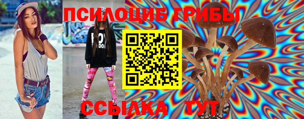 Галлюциногенные грибы Psilocybe Тула