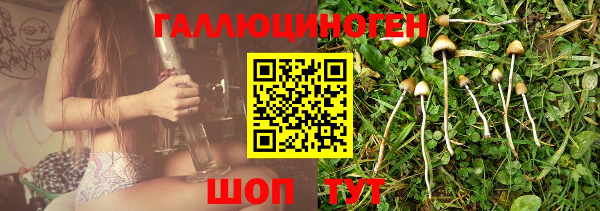 Тула  Галлюциногенные грибы ЛСД  Вход с VPN 